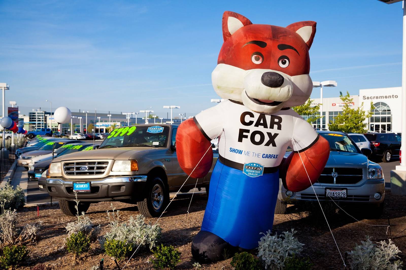 8 Top Car-Buying Apps Of 2024_3
