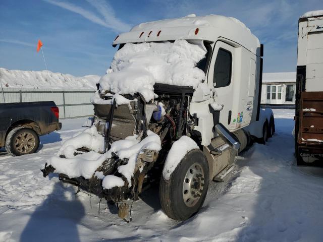 38672764-2019-freightliner-all-other_2