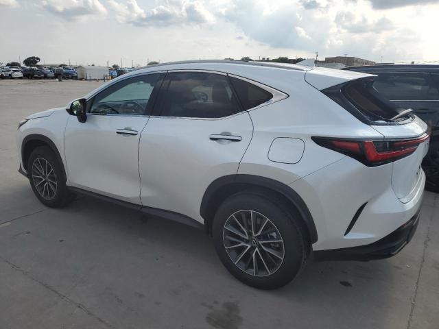 58548474-2024-lexus-nx-350h-ba_2