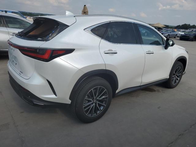 58548474-2024-lexus-nx-350h-ba_3