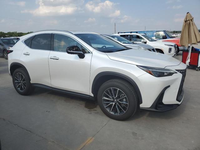 58548474-2024-lexus-nx-350h-ba_4