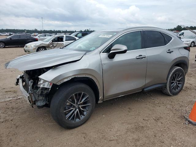 60067934-2023-lexus-nx-350_1