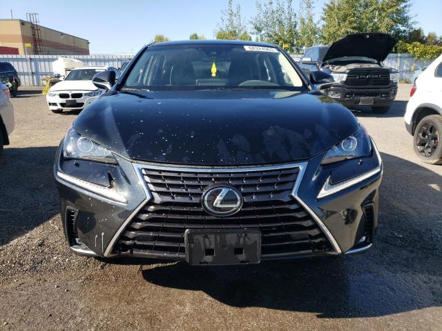 68324963-2019-lexus-nx_5