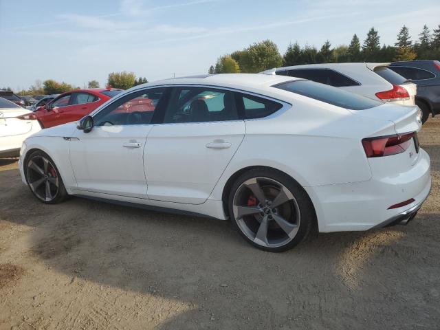 69377184-2019-audi-s5-rs5_2