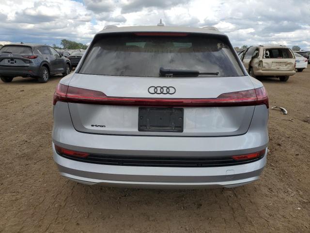 69901124-2019-audi-e-tron_6