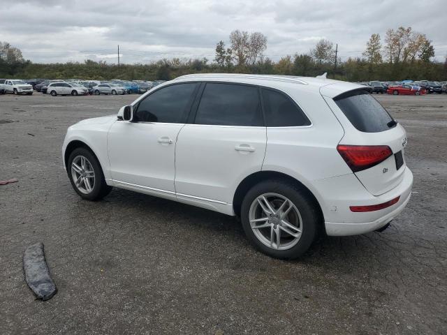 70999804-2013-audi-q5_2