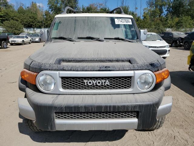 71437684-2010-toyota-fj-cruiser_5