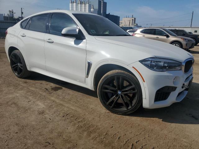 72228564-2019-bmw-x6_4