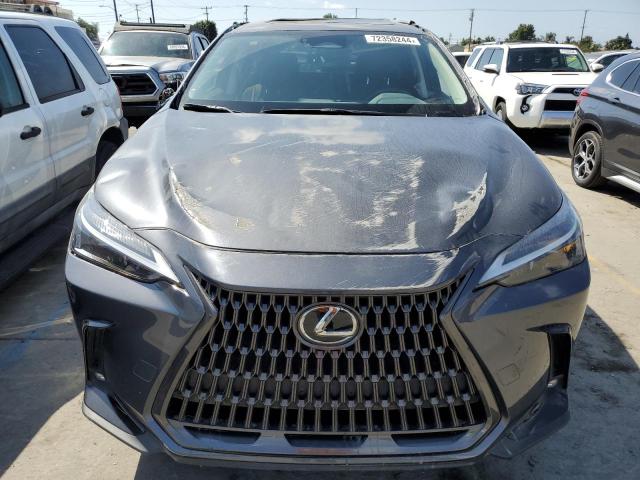 72358244-2022-lexus-nx-350_5