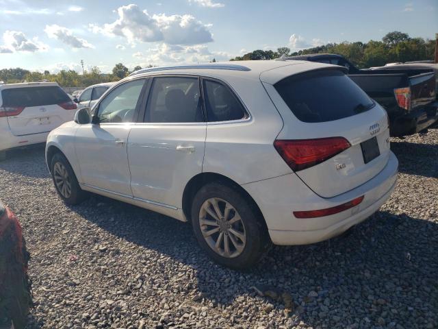 72403724-2013-audi-q5_2