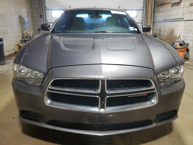 73175254-2014-dodge-charger_5