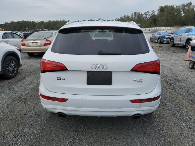 73503124-2014-audi-q5_6