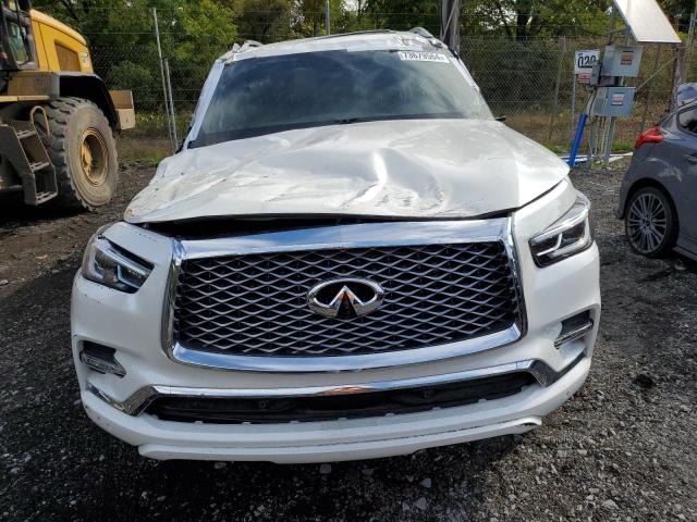 73679564-2024-infiniti-qx80-senso_5