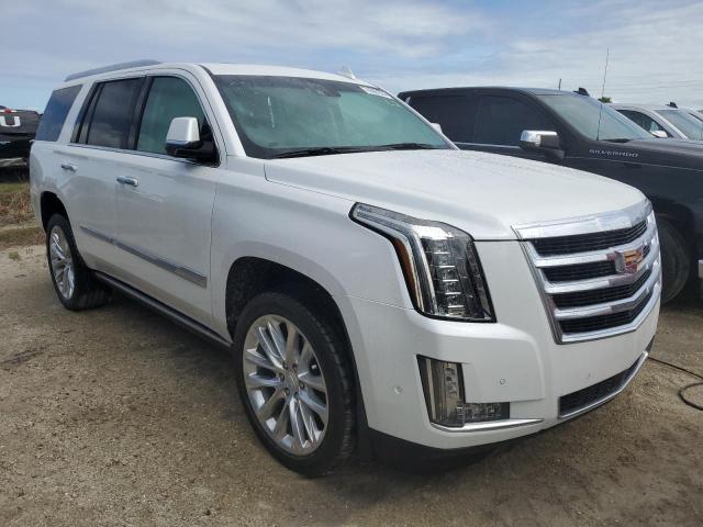 74397674-2019-cadillac-escalade_4