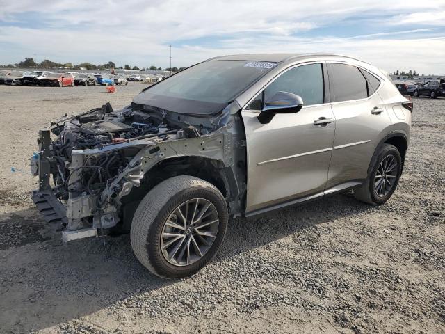 74845814-2023-lexus-nx-250_1