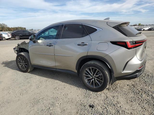 74845814-2023-lexus-nx-250_2