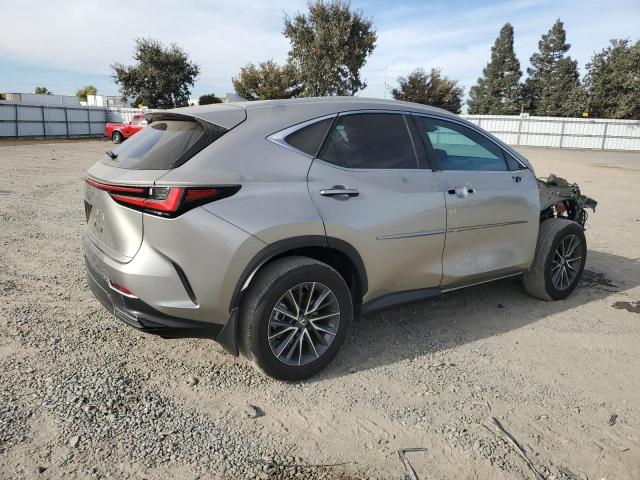 74845814-2023-lexus-nx-250_3