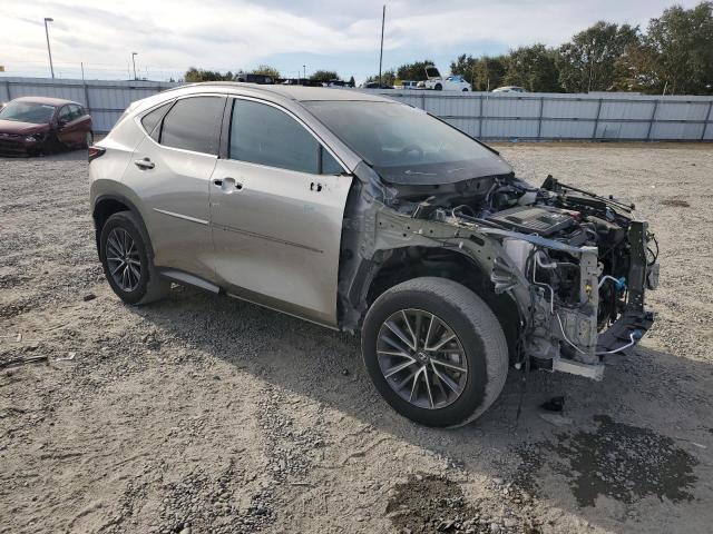 74845814-2023-lexus-nx-250_4