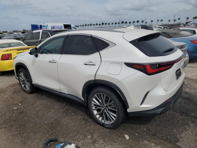 74983514-2022-lexus-nx-350h_2