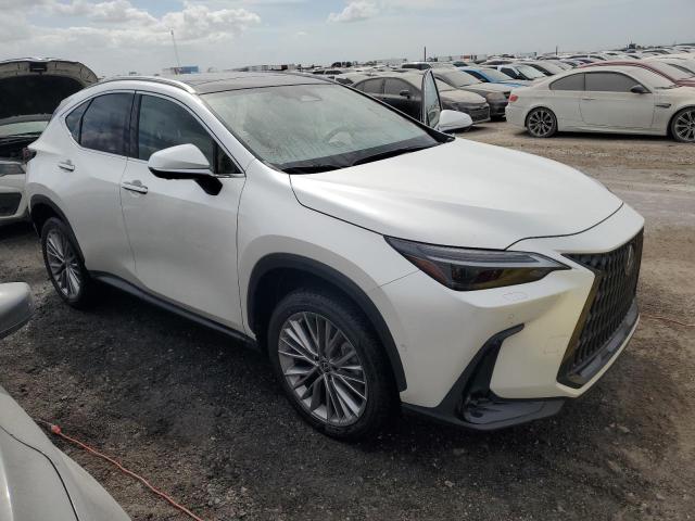 74983514-2022-lexus-nx-350h_4