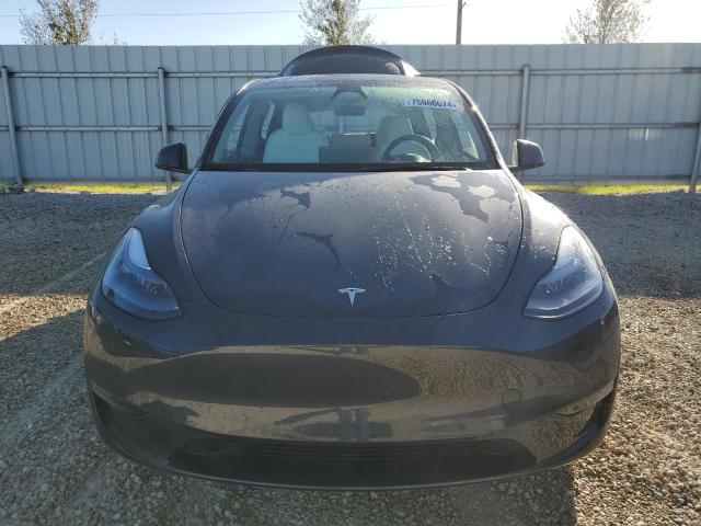 75066674-2024-tesla-model-y_5