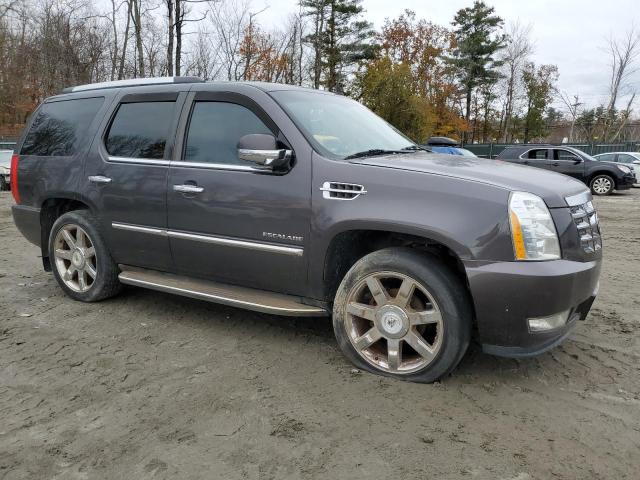 76086313-2010-cadillac-escalade_4