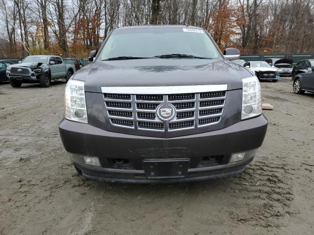 76086313-2010-cadillac-escalade_5