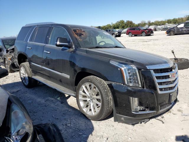 76244904-2020-cadillac-escalade_4