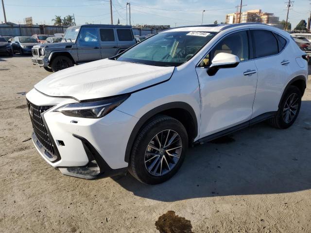 76717194-2024-lexus-nx-250-pre_1