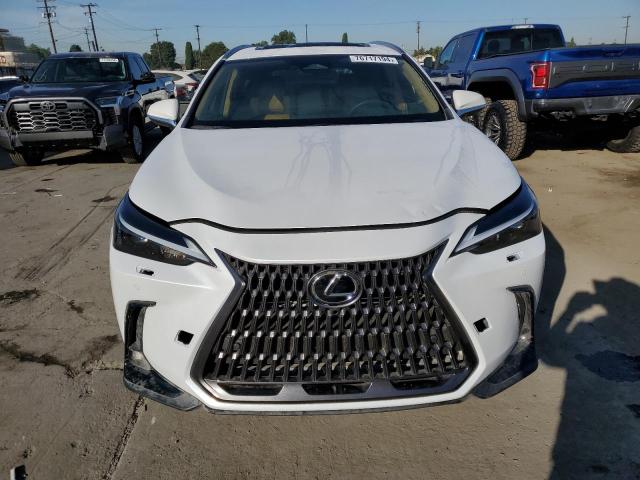 76717194-2024-lexus-nx-250-pre_5