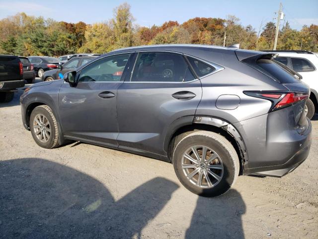 77666544-2021-lexus-nx_2