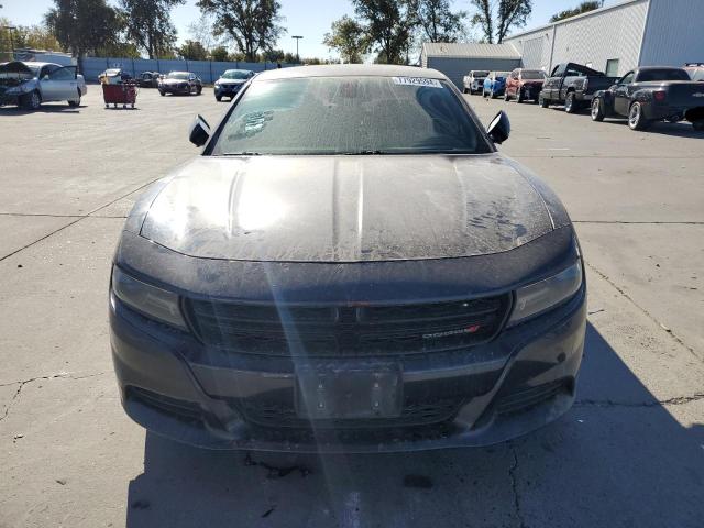 77929594-2016-dodge-charger_5