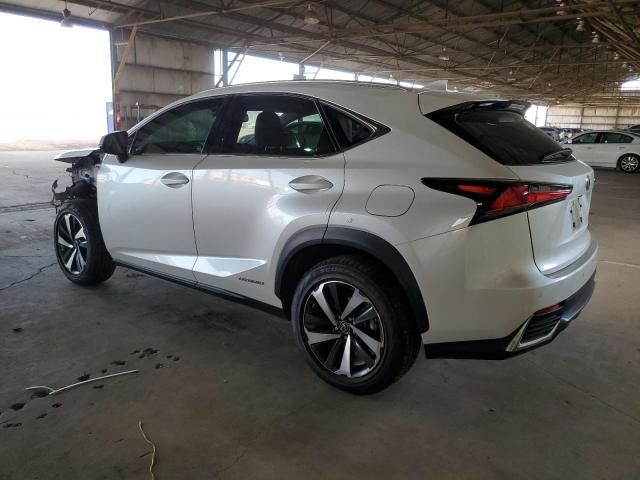 78082534-2021-lexus-nx_2