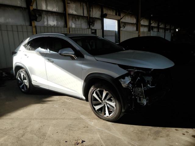 78082534-2021-lexus-nx_4