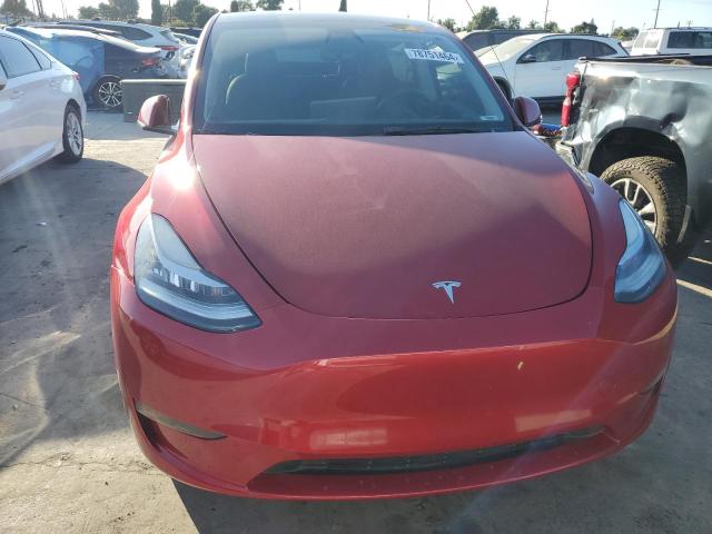 78751464-2021-tesla-model-y_5