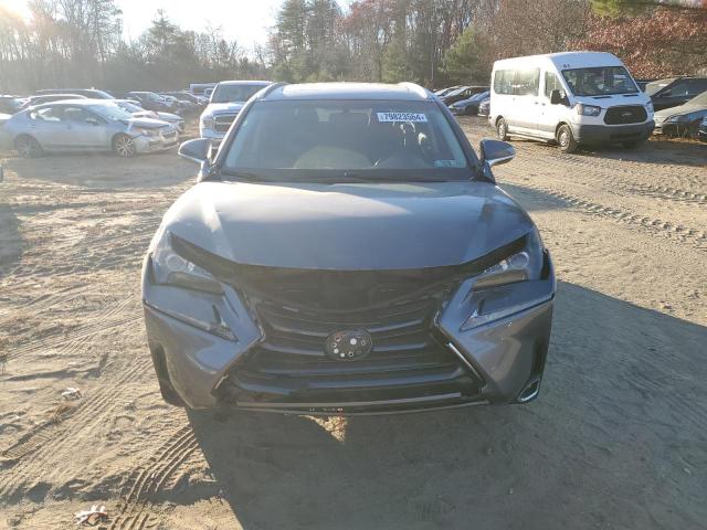 79823564-2016-lexus-nx_5