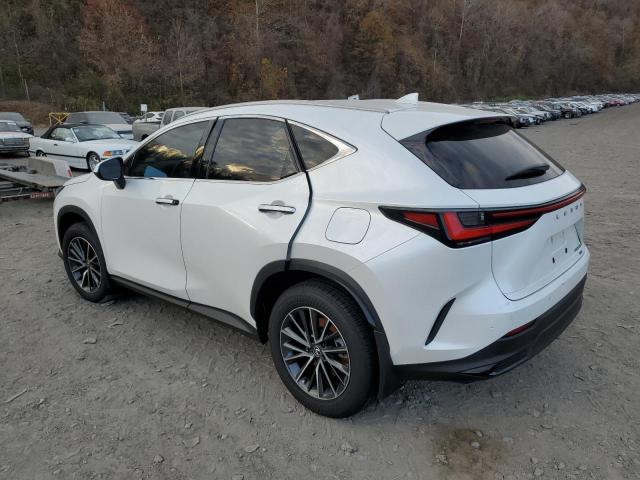 79879104-2024-lexus-nx-350h-ba_2