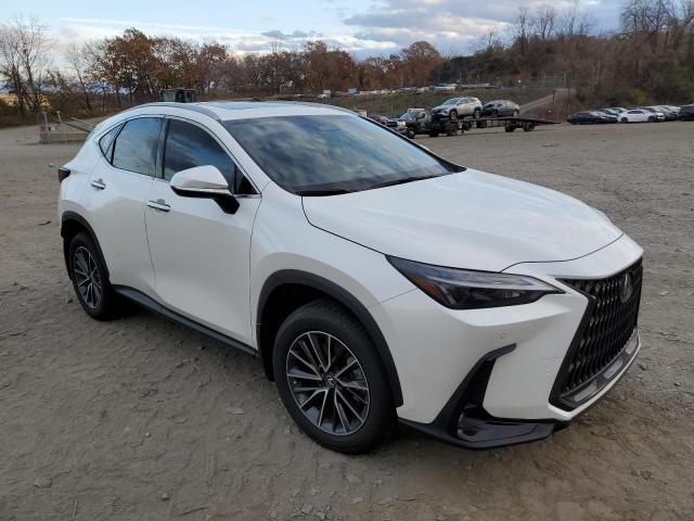 79879104-2024-lexus-nx-350h-ba_4