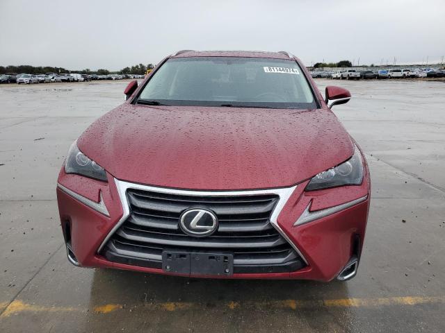 81144974-2015-lexus-nx_5