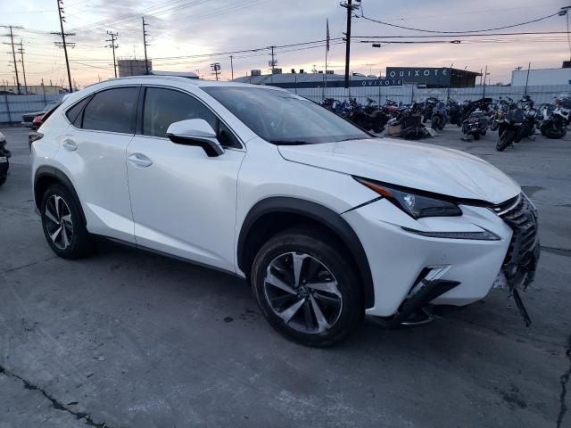 81248813-2020-lexus-nx_4