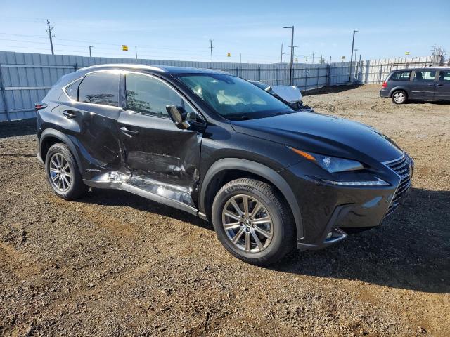 81278484-2020-lexus-nx_4