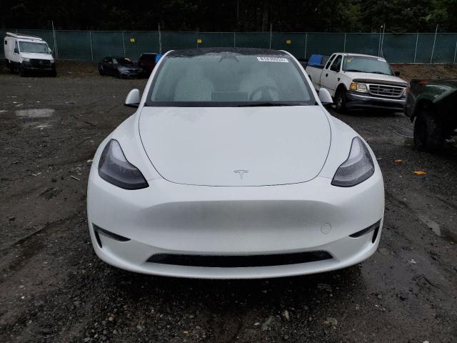 81430053-2023-tesla-model-y_5