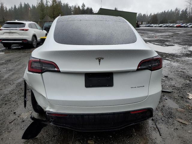 81430053-2023-tesla-model-y_6