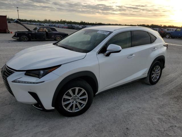 81689254-2019-lexus-nx_1