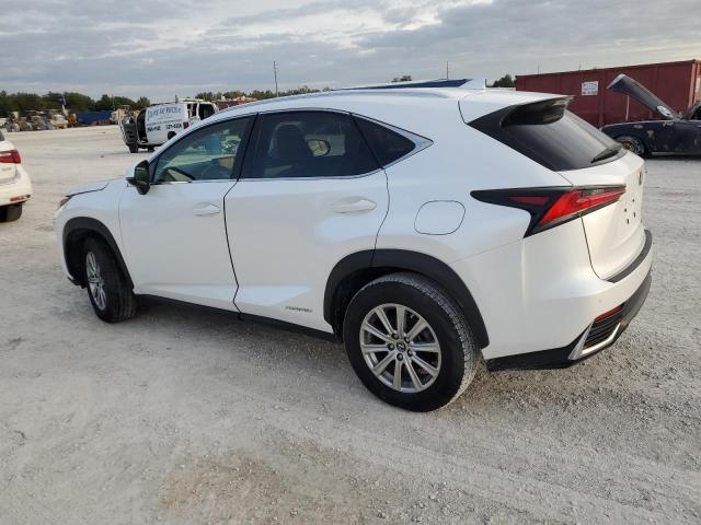 81689254-2019-lexus-nx_2