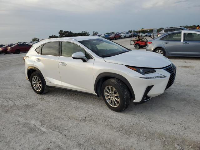 81689254-2019-lexus-nx_4