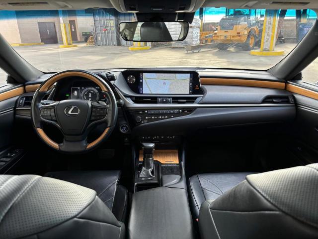 82487364-2019-lexus-es300_7