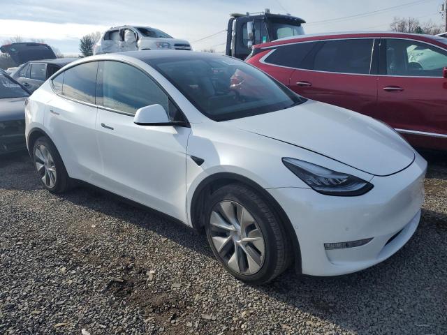 82976974-2020-tesla-model-y_4