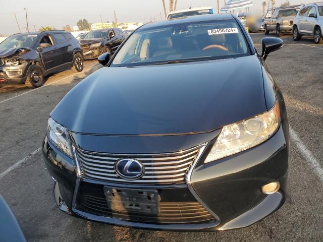 83490724-2013-lexus-es300_5