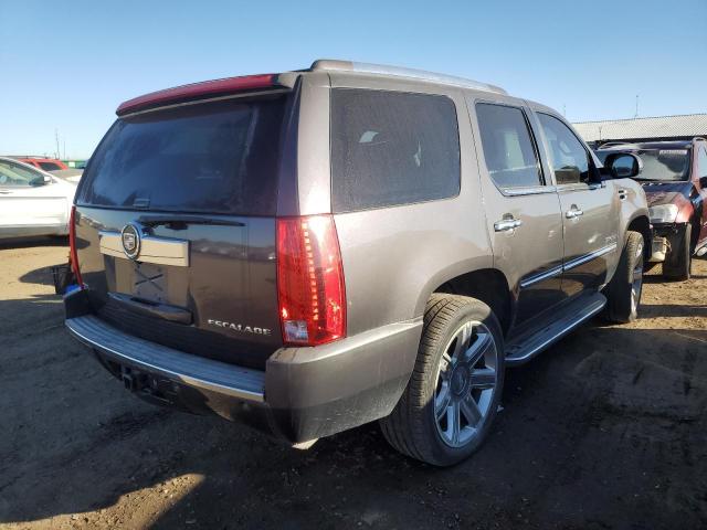 83609544-2010-cadillac-escalade_3